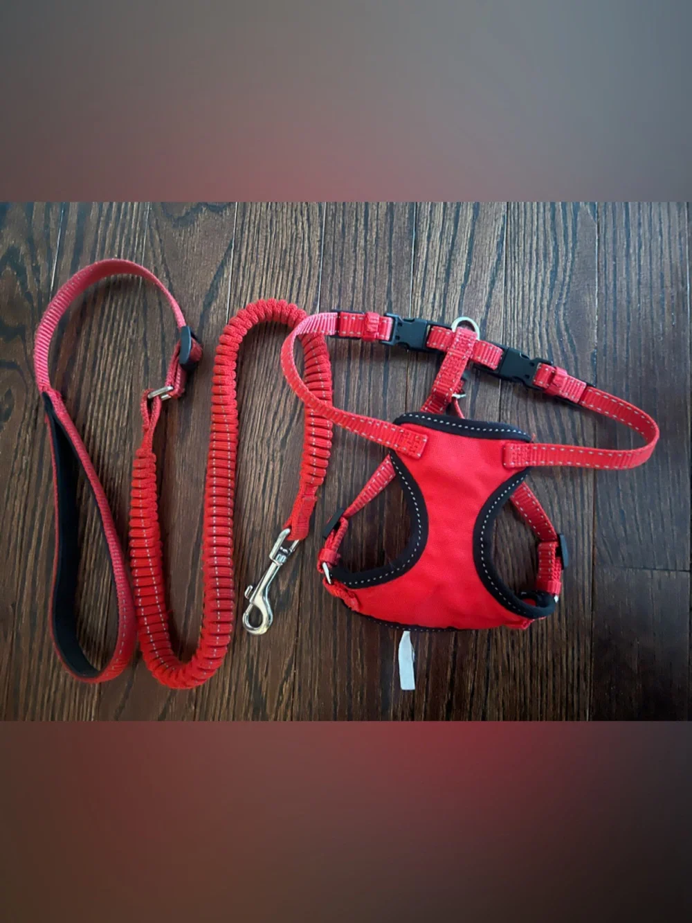 Adjustable Red Small Pet Harness with Matching Bungee Leash
